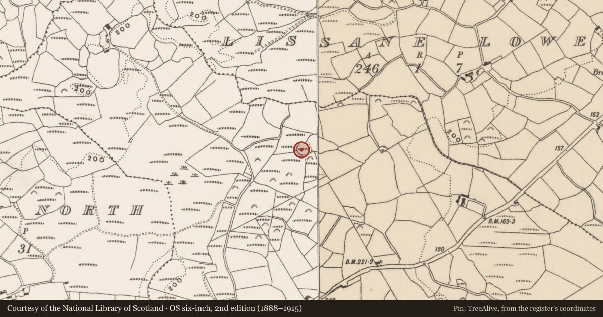 Ordnance Survey six-inch map, 2nd edition (1888–1915) covering the location of Ringfort - rath, Tooreen, County Cork, with a pin at the register's coordinates