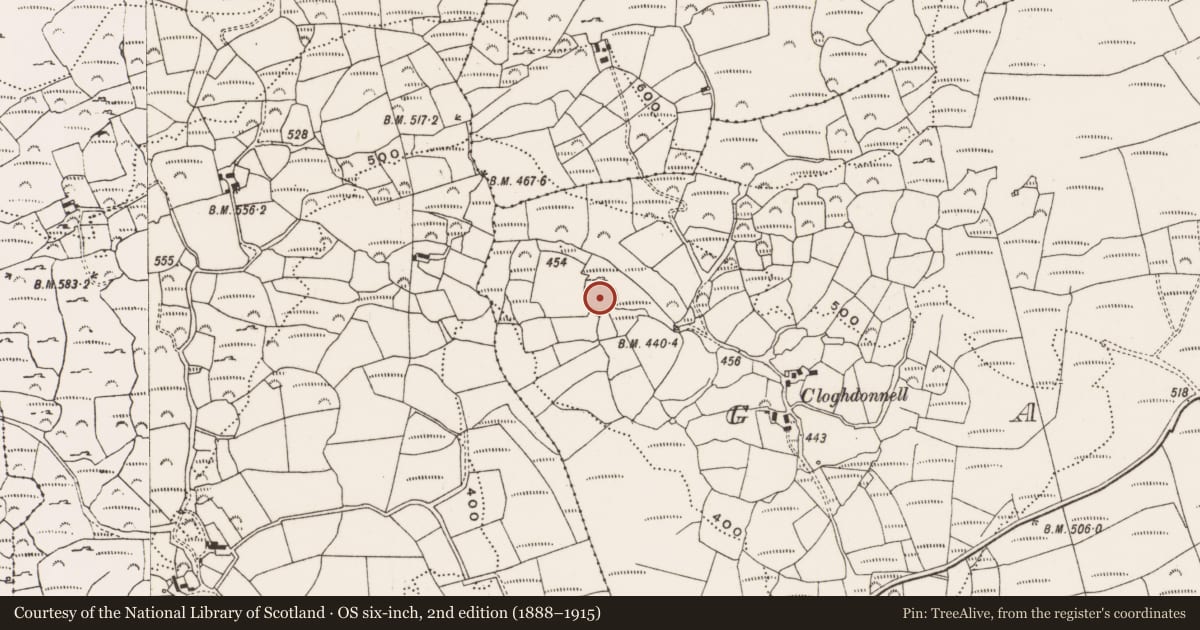 Ordnance Survey six-inch map, 2nd edition (1888–1915) covering the location of Ringfort - rath, Garrane, County Cork, with a pin at the register's coordinates