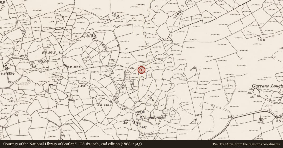 Ordnance Survey six-inch map, 2nd edition (1888–1915) covering the location of Ringfort - cashel, Garrane, County Cork, with a pin at the register's coordinates