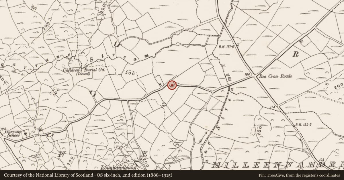Ordnance Survey six-inch map, 2nd edition (1888–1915) covering the location of Ringfort - rath, Garrane, County Cork, with a pin at the register's coordinates