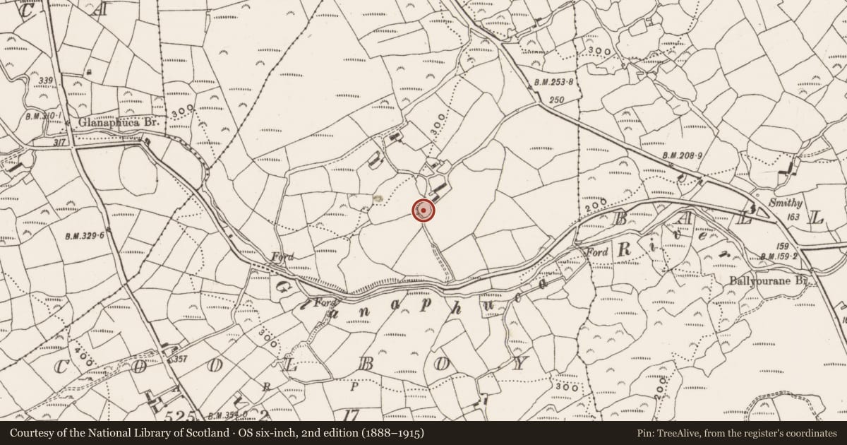 Ordnance Survey six-inch map, 2nd edition (1888–1915) covering the location of Ringfort - rath, Coolboy, County Cork, with a pin at the register's coordinates