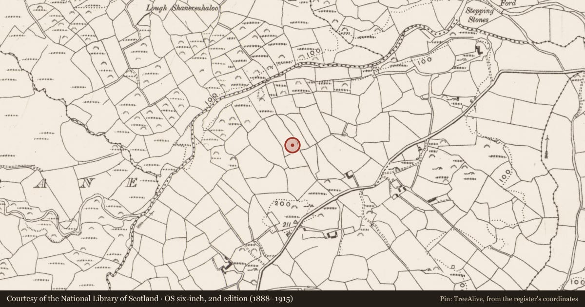 Ordnance Survey six-inch map, 2nd edition (1888–1915) covering the location of Ringfort - rath, Dromcorragh, County Cork, with a pin at the register's coordinates