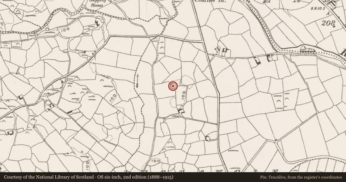 Ordnance Survey six-inch map, 2nd edition (1888–1915) covering the location of Ringfort - rath, Lissangle, County Cork, with a pin at the register's coordinates