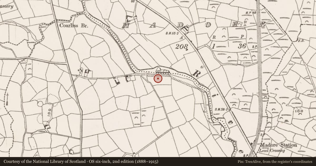 Ordnance Survey six-inch map, 2nd edition (1888–1915) covering the location of Boulder-burial, Lissangle, County Cork, with a pin at the register's coordinates