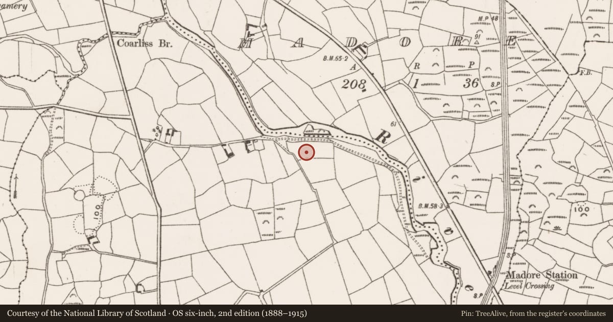 Ordnance Survey six-inch map, 2nd edition (1888–1915) covering the location of Standing stone, Lissangle, County Cork, with a pin at the register's coordinates