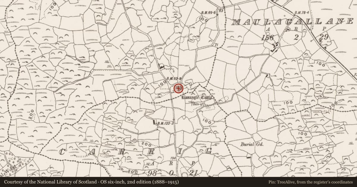 Ordnance Survey six-inch map, 2nd edition (1888–1915) covering the location of Castle - unclassified, Lissangle, County Cork, with a pin at the register's coordinates