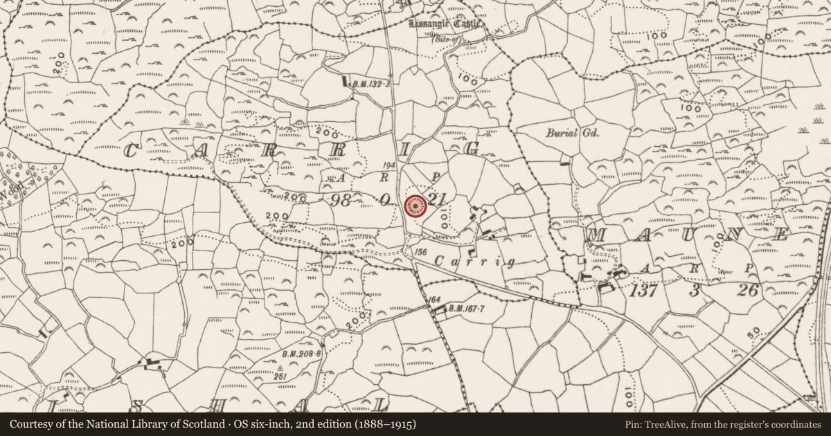 Ordnance Survey six-inch map, 2nd edition (1888–1915) covering the location of Ringfort - rath, Carrig, County Cork, with a pin at the register's coordinates
