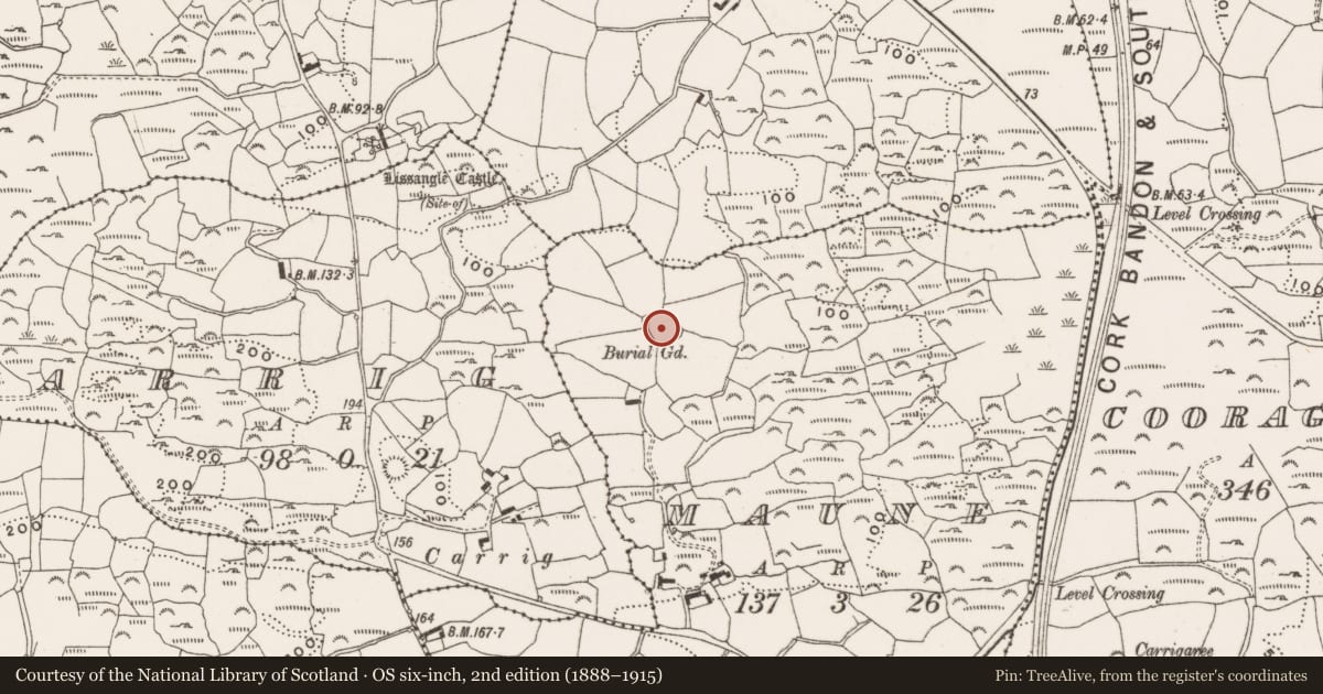 Ordnance Survey six-inch map, 2nd edition (1888–1915) covering the location of Ringfort - rath, Maune, County Cork, with a pin at the register's coordinates
