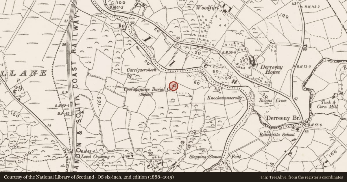 Ordnance Survey six-inch map, 2nd edition (1888–1915) covering the location of Burial ground, Cooragannive, County Cork, with a pin at the register's coordinates