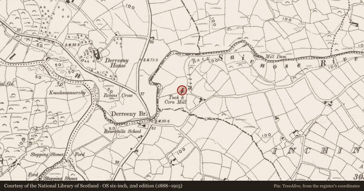 Ordnance Survey six-inch map, 2nd edition (1888–1915) covering the location of Mill - fulling, Inchinagotagh, County Cork, with a pin at the register's coordinates