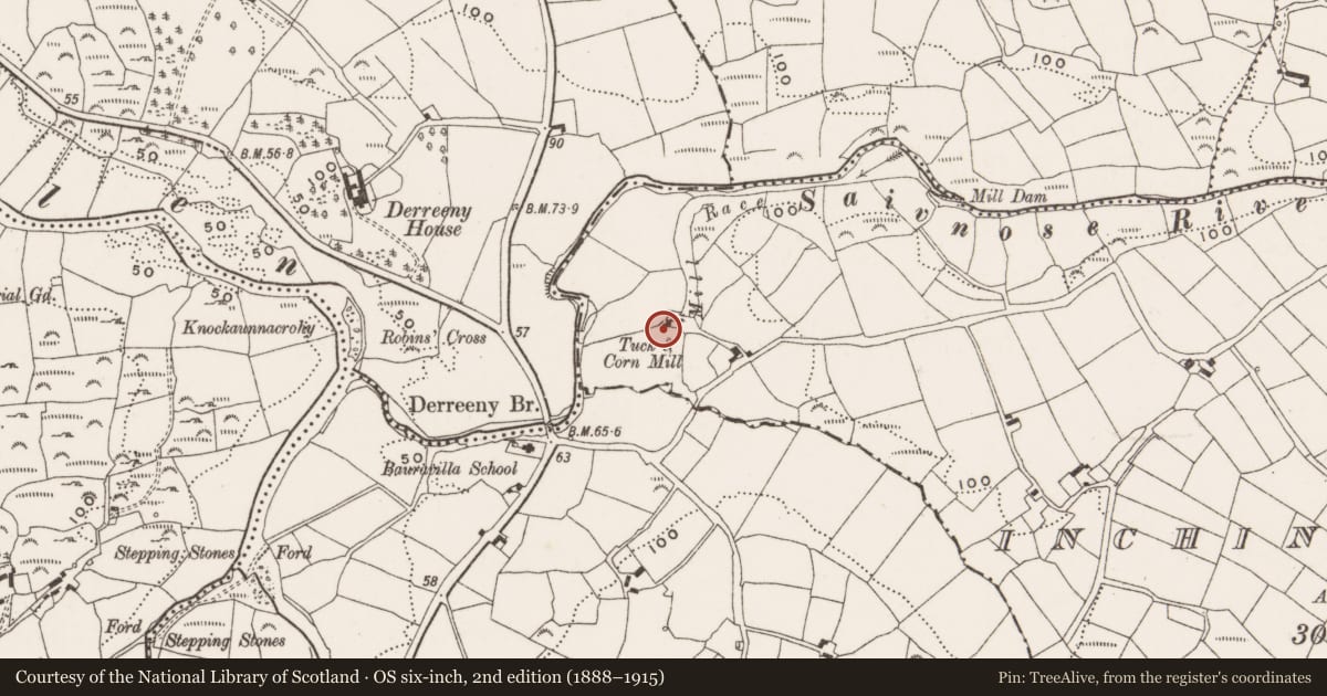 Ordnance Survey six-inch map, 2nd edition (1888–1915) covering the location of Milling complex, Inchinagotagh, County Cork, with a pin at the register's coordinates