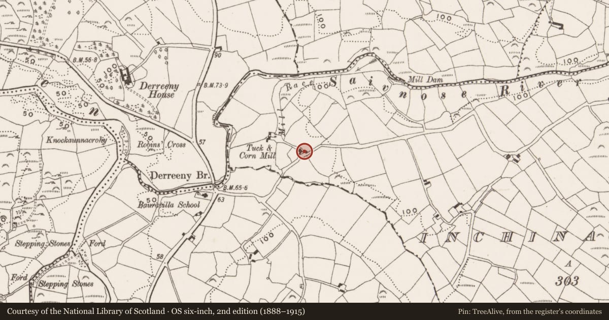 Ordnance Survey six-inch map, 2nd edition (1888–1915) covering the location of Souterrain, Inchinagotagh, County Cork, with a pin at the register's coordinates