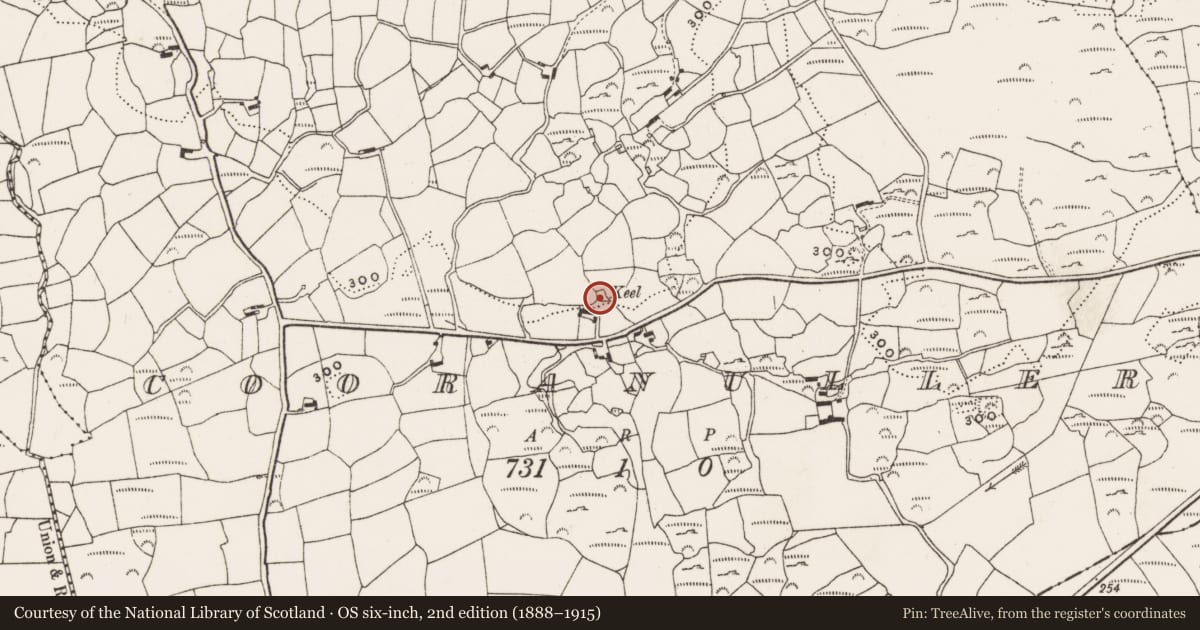 Ordnance Survey six-inch map, 2nd edition (1888–1915) covering the location of Burial ground, Cooranuller, County Cork, with a pin at the register's coordinates