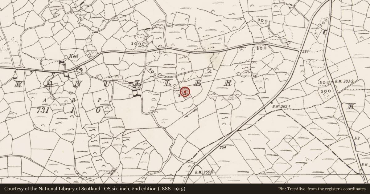 Ordnance Survey six-inch map, 2nd edition (1888–1915) covering the location of Ringfort - rath, Cooranuller, County Cork, with a pin at the register's coordinates
