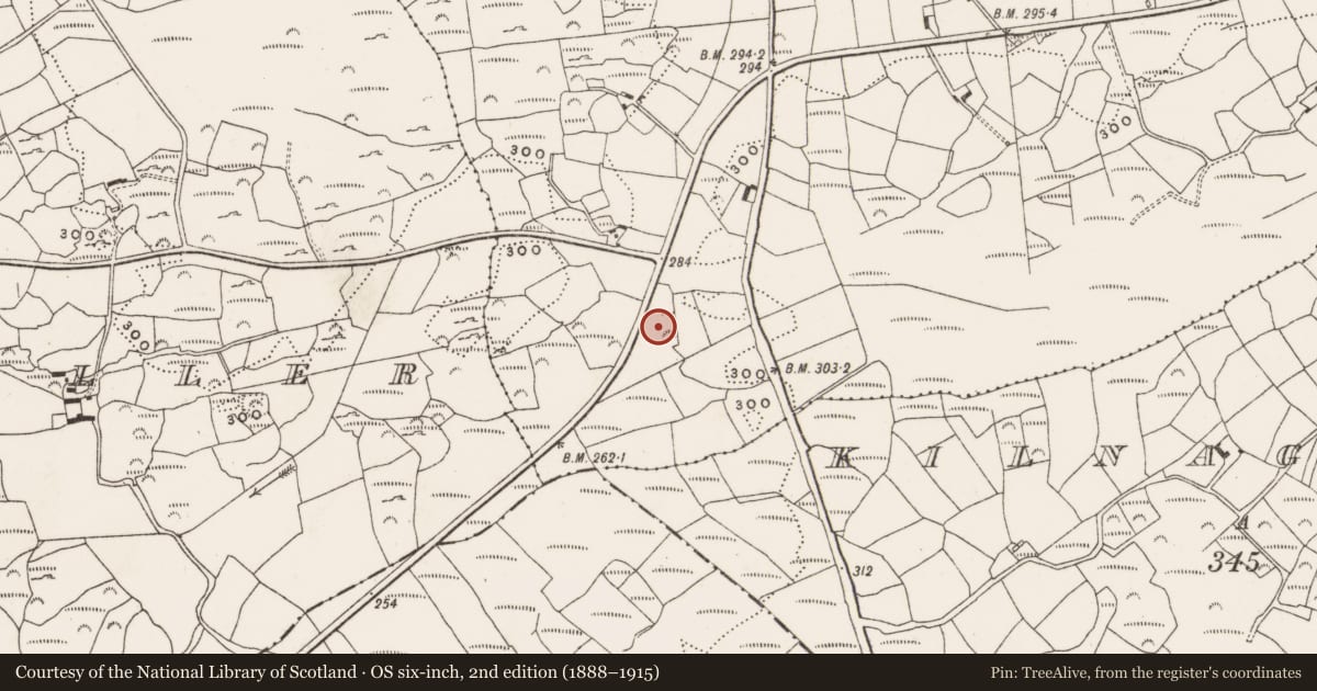 Ordnance Survey six-inch map, 2nd edition (1888–1915) covering the location of Souterrain, Coolbane, County Cork, with a pin at the register's coordinates