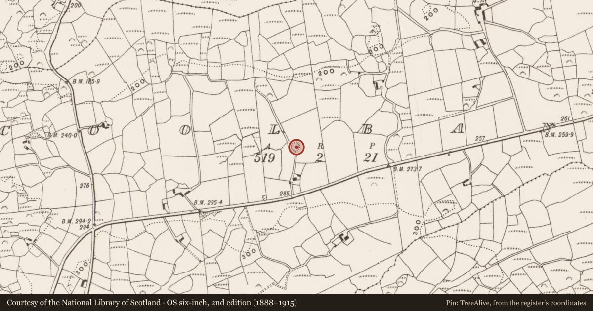 Ordnance Survey six-inch map, 2nd edition (1888–1915) covering the location of Ringfort - rath, Coolbane, County Cork, with a pin at the register's coordinates