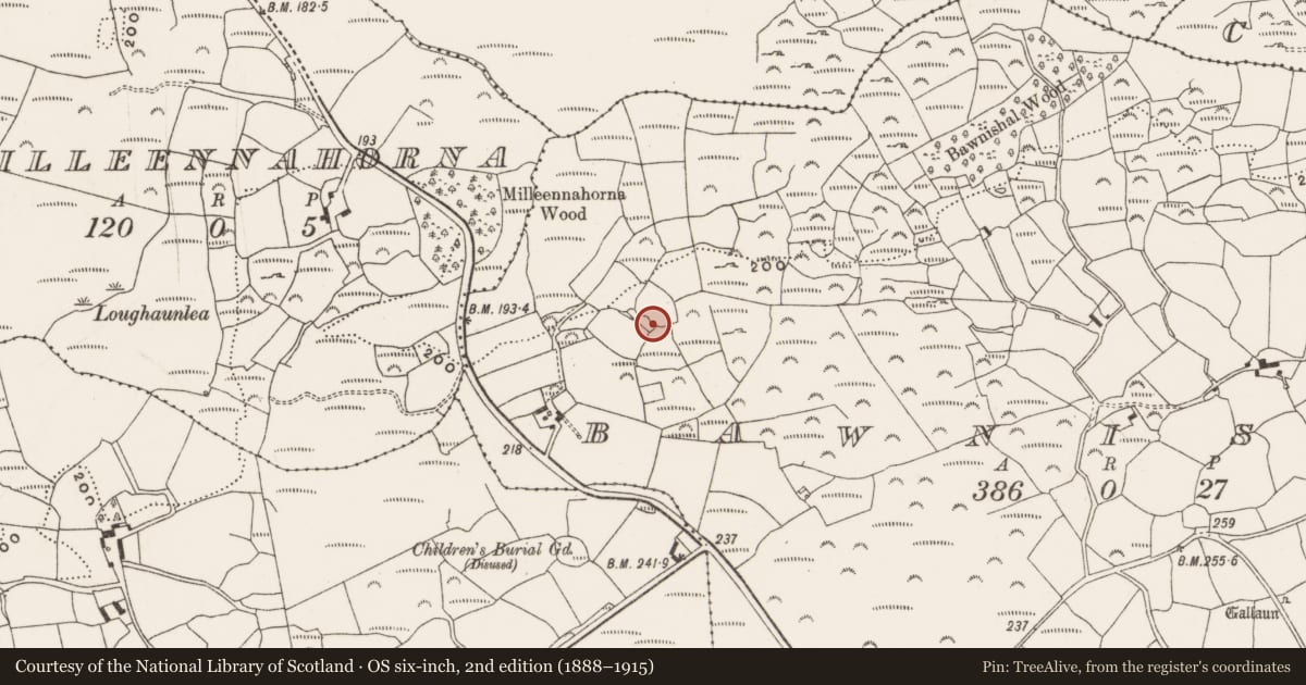 Ordnance Survey six-inch map, 2nd edition (1888–1915) covering the location of Ringfort - rath, Bawnishal, County Cork, with a pin at the register's coordinates