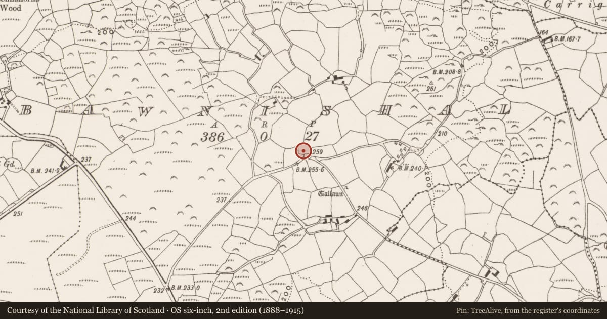 Ordnance Survey six-inch map, 2nd edition (1888–1915) covering the location of Ringfort - rath, Bawnishal, County Cork, with a pin at the register's coordinates