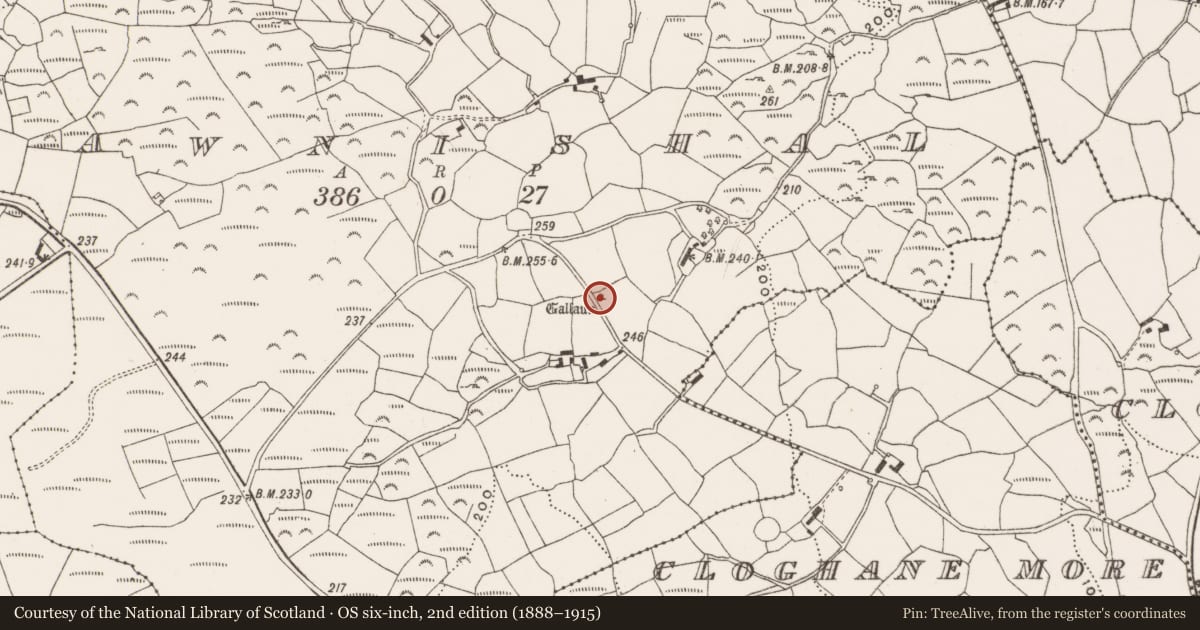 Ordnance Survey six-inch map, 2nd edition (1888–1915) covering the location of Standing stone, Bawnishal, County Cork, with a pin at the register's coordinates