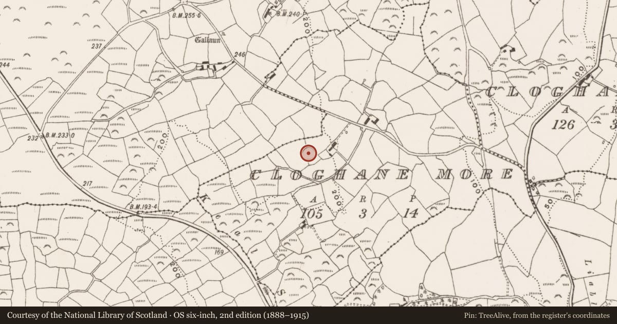 Ordnance Survey six-inch map, 2nd edition (1888–1915) covering the location of Ringfort - rath, Cloghane More, County Cork, with a pin at the register's coordinates