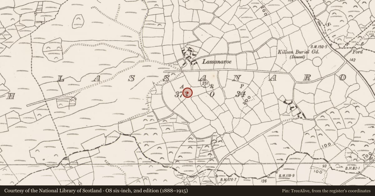 Ordnance Survey six-inch map, 2nd edition (1888–1915) covering the location of Ringfort - rath, Lassanaroe, County Cork, with a pin at the register's coordinates
