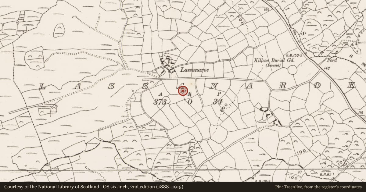 Ordnance Survey six-inch map, 2nd edition (1888–1915) covering the location of Ringfort - rath, Lassanaroe, County Cork, with a pin at the register's coordinates