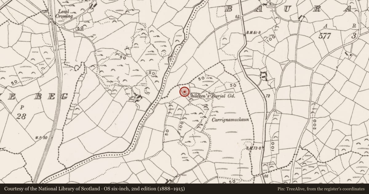 Ordnance Survey six-inch map, 2nd edition (1888–1915) covering the location of Burial ground, Coolnaclehy, County Cork, with a pin at the register's coordinates
