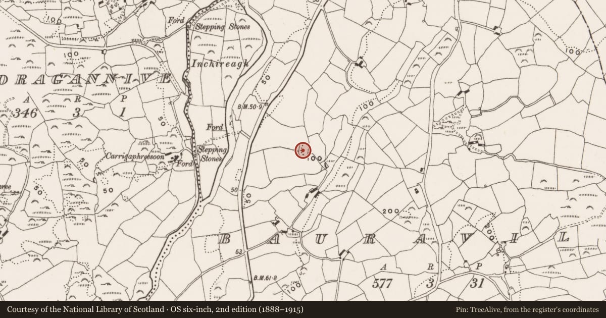 Ordnance Survey six-inch map, 2nd edition (1888–1915) covering the location of Ringfort - rath, Bauravilla, County Cork, with a pin at the register's coordinates