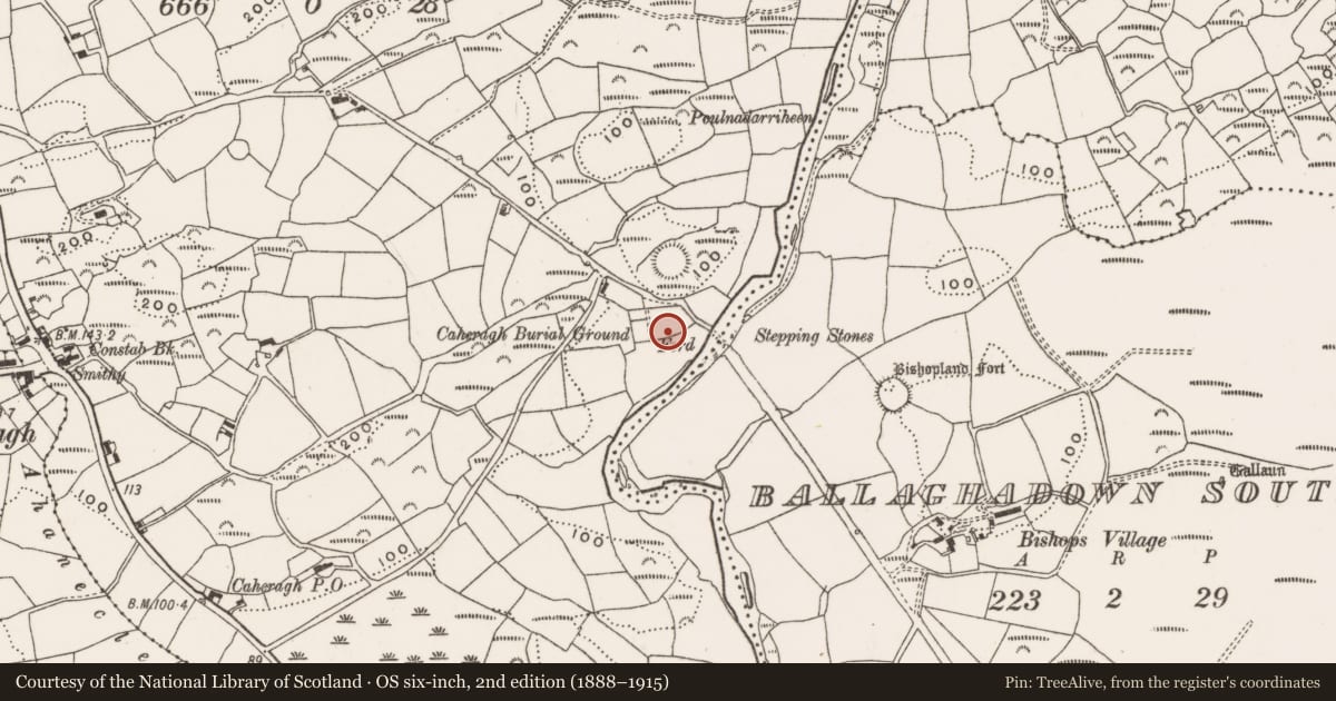 Ordnance Survey six-inch map, 2nd edition (1888–1915) covering the location of Graveyard, Caheragh, County Cork, with a pin at the register's coordinates