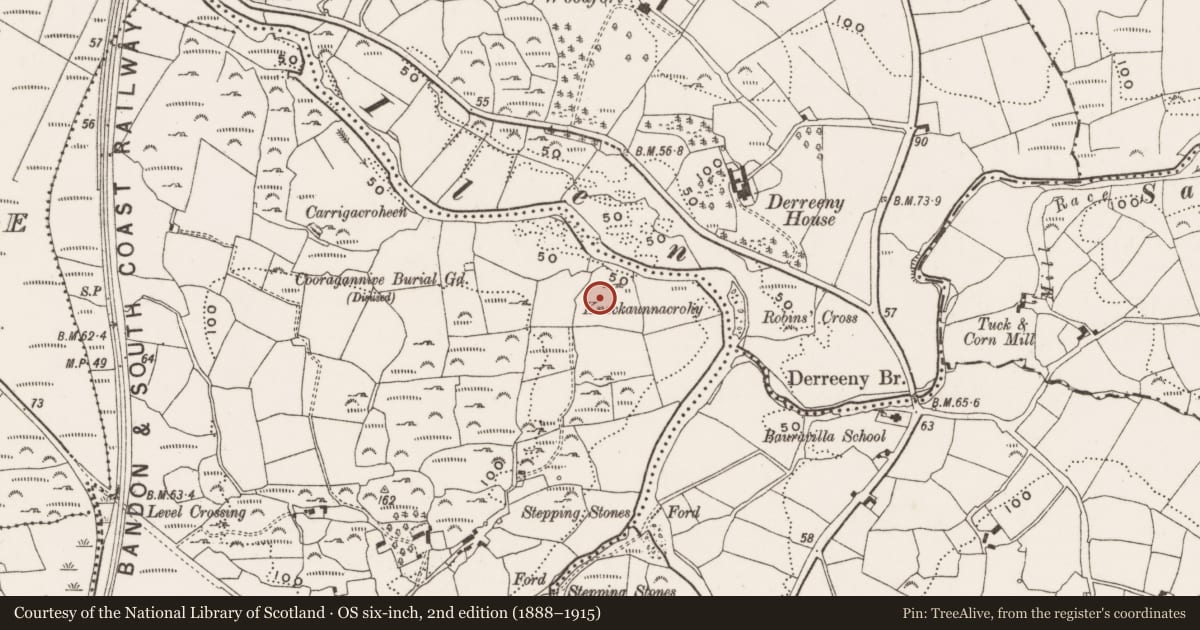 Ordnance Survey six-inch map, 2nd edition (1888–1915) covering the location of Burial ground, Cooragannive, County Cork, with a pin at the register's coordinates