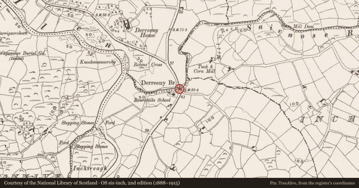 Ordnance Survey six-inch map, 2nd edition (1888–1915) covering the location of Bridge, Bauravilla, Derreeny, County Cork, with a pin at the register's coordinates