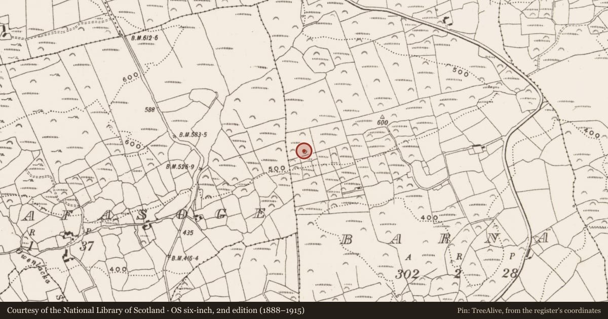 Ordnance Survey six-inch map, 2nd edition (1888–1915) covering the location of Hut site, Barna, County Cork, with a pin at the register's coordinates