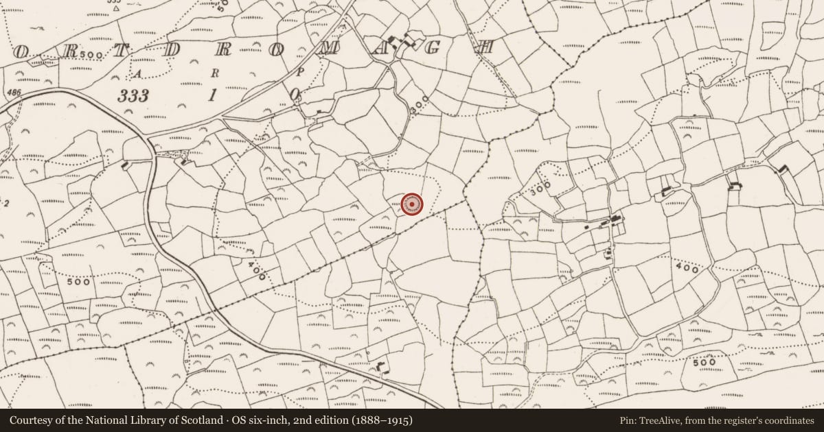 Ordnance Survey six-inch map, 2nd edition (1888–1915) covering the location of Cupmarked stone, Gortdromagh, County Cork, with a pin at the register's coordinates
