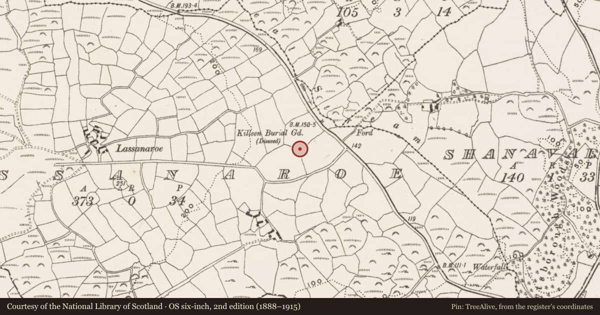 Ordnance Survey six-inch map, 2nd edition (1888–1915) covering the location of Souterrain, Lassanaroe, County Cork, with a pin at the register's coordinates