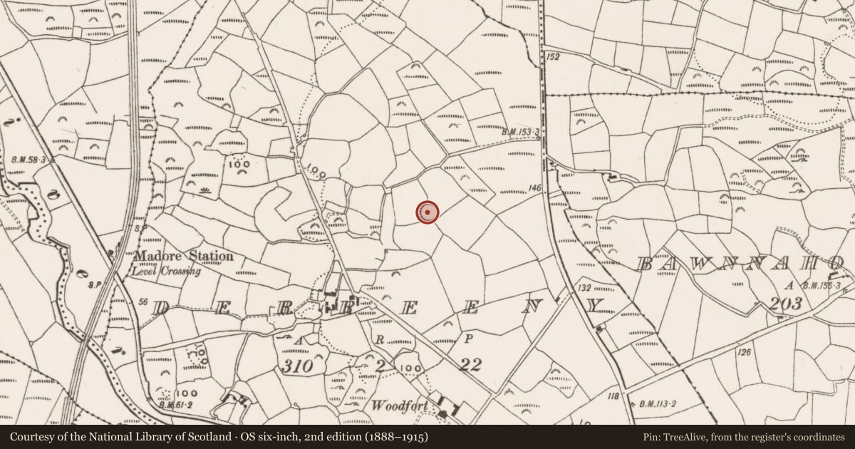 Ordnance Survey six-inch map, 2nd edition (1888–1915) covering the location of Souterrain, Derreeny, County Cork, with a pin at the register's coordinates