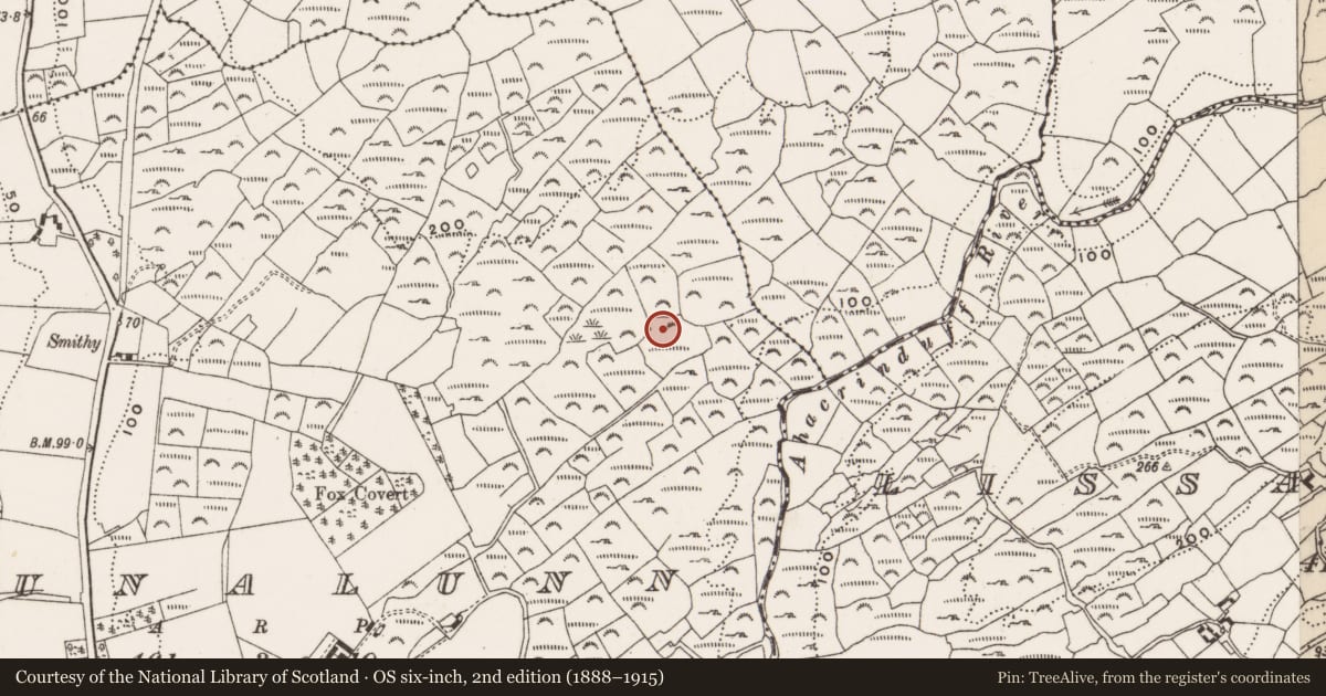 Ordnance Survey six-inch map, 2nd edition (1888–1915) covering the location of Megalithic structure, Bunalunn, County Cork, with a pin at the register's coordinates