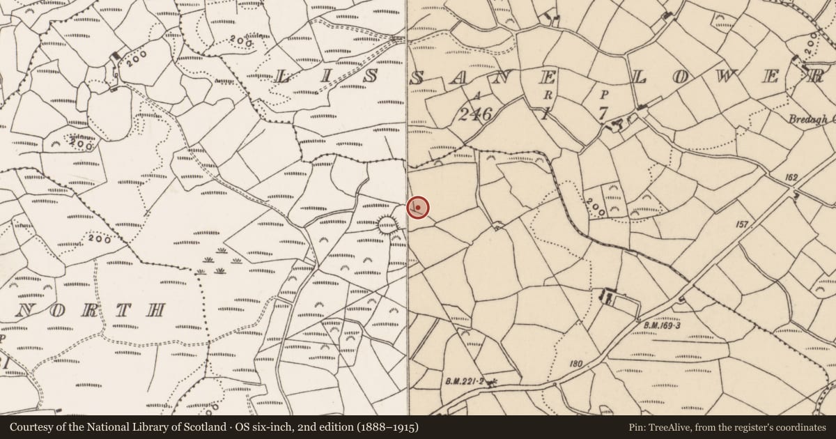 Ordnance Survey six-inch map, 2nd edition (1888–1915) covering the location of Cupmarked stone, Tooreen, County Cork, with a pin at the register's coordinates