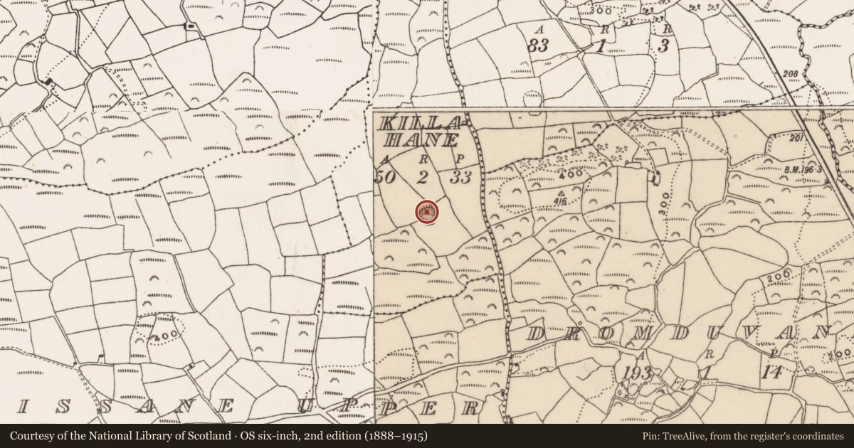 Ordnance Survey six-inch map, 2nd edition (1888–1915) covering the location of Ringfort - rath, Killahane, County Cork, with a pin at the register's coordinates