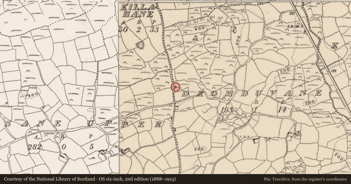 Ordnance Survey six-inch map, 2nd edition (1888–1915) covering the location of Church, Dromduvane, County Cork, with a pin at the register's coordinates