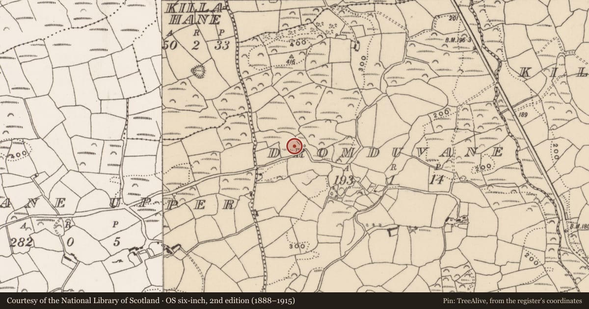 Ordnance Survey six-inch map, 2nd edition (1888–1915) covering the location of Burial, Dromduvane, County Cork, with a pin at the register's coordinates