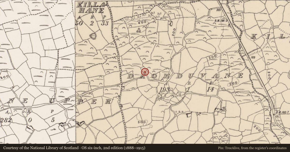 Ordnance Survey six-inch map, 2nd edition (1888–1915) covering the location of Ritual site - holy well, Dromduvane, County Cork, with a pin at the register's coordinates