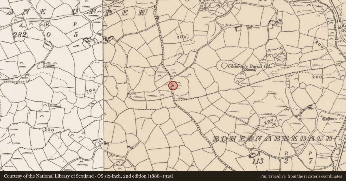Ordnance Survey six-inch map, 2nd edition (1888–1915) covering the location of Megalithic tomb - wedge tomb, Dromduvane, County Cork, with a pin at the register's coordinates