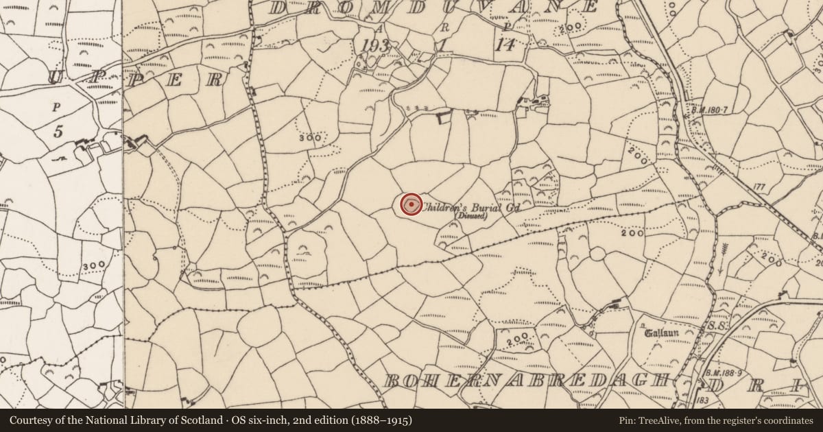 Ordnance Survey six-inch map, 2nd edition (1888–1915) covering the location of Enclosure, Dromduvane, County Cork, with a pin at the register's coordinates