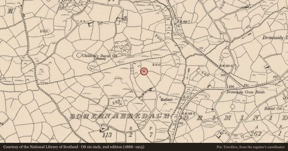 Ordnance Survey six-inch map, 2nd edition (1888–1915) covering the location of Ringfort - rath, Bohernabredagh, County Cork, with a pin at the register's coordinates