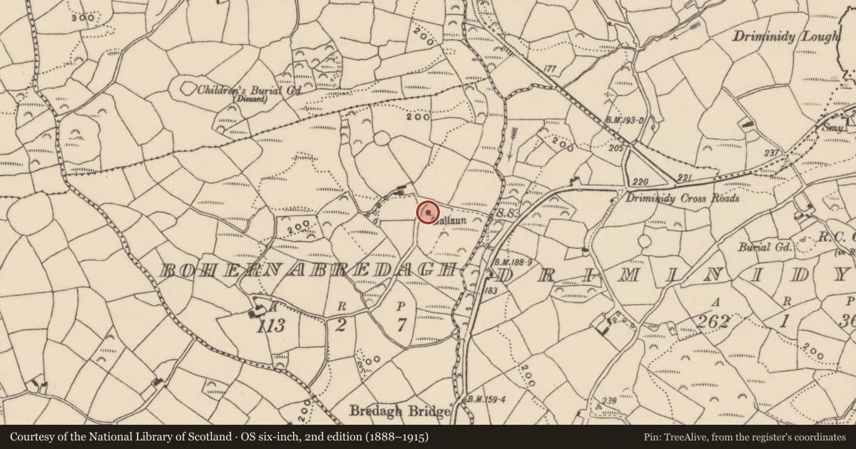 Ordnance Survey six-inch map, 2nd edition (1888–1915) covering the location of Standing stone, Bohernabredagh, County Cork, with a pin at the register's coordinates
