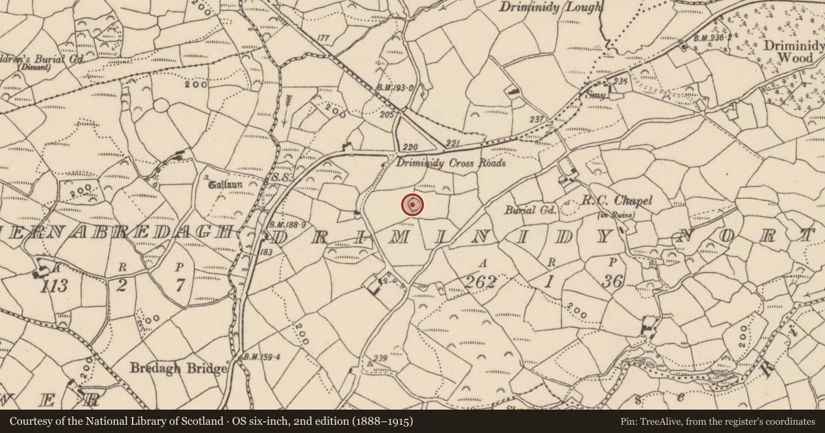 Ordnance Survey six-inch map, 2nd edition (1888–1915) covering the location of Enclosure, Driminidy North, County Cork, with a pin at the register's coordinates