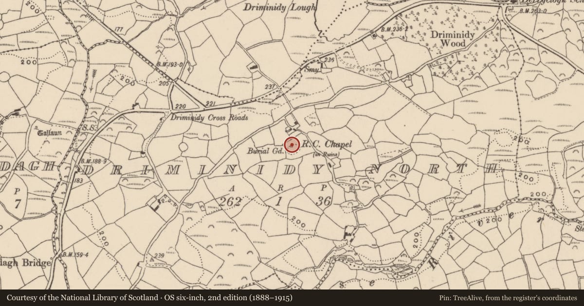 Ordnance Survey six-inch map, 2nd edition (1888–1915) covering the location of Church, Driminidy North, County Cork, with a pin at the register's coordinates