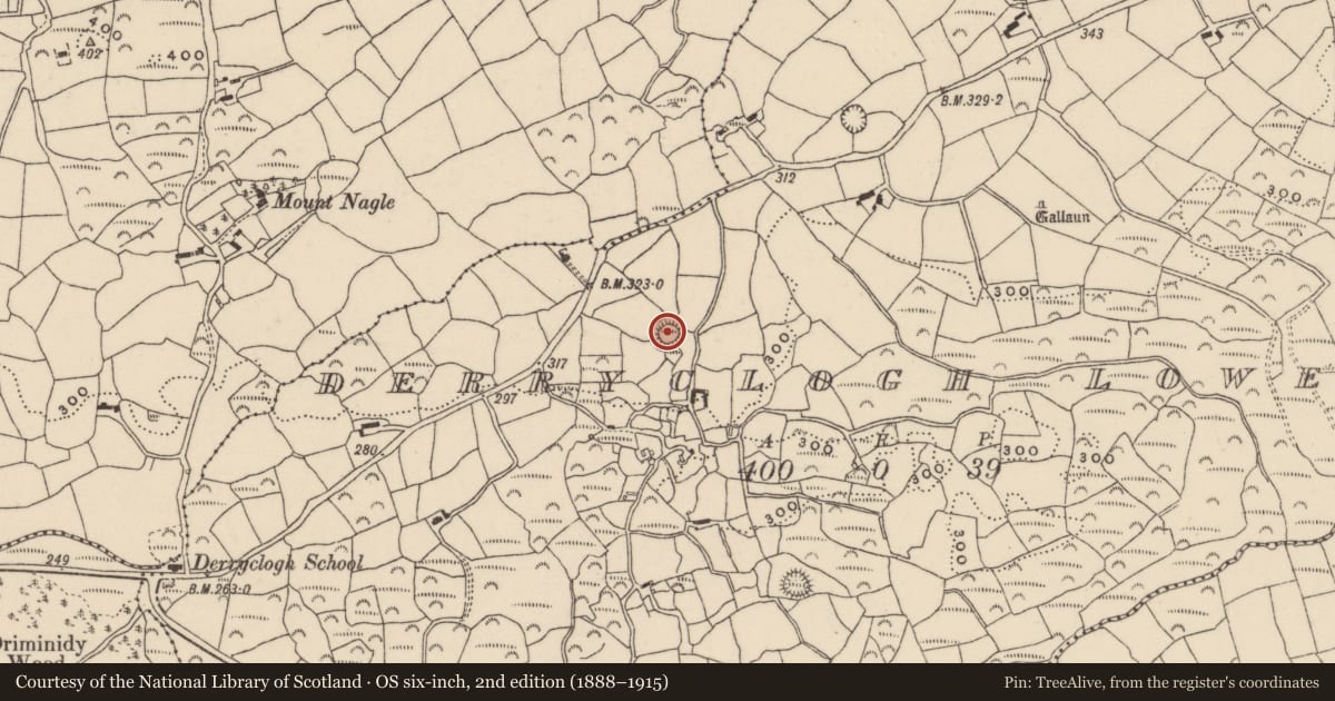 Ordnance Survey six-inch map, 2nd edition (1888–1915) covering the location of Ringfort - rath, Derryclogh Lower, County Cork, with a pin at the register's coordinates