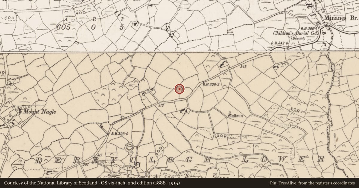 Ordnance Survey six-inch map, 2nd edition (1888–1915) covering the location of Ringfort - rath, Derryclogh Lower, County Cork, with a pin at the register's coordinates