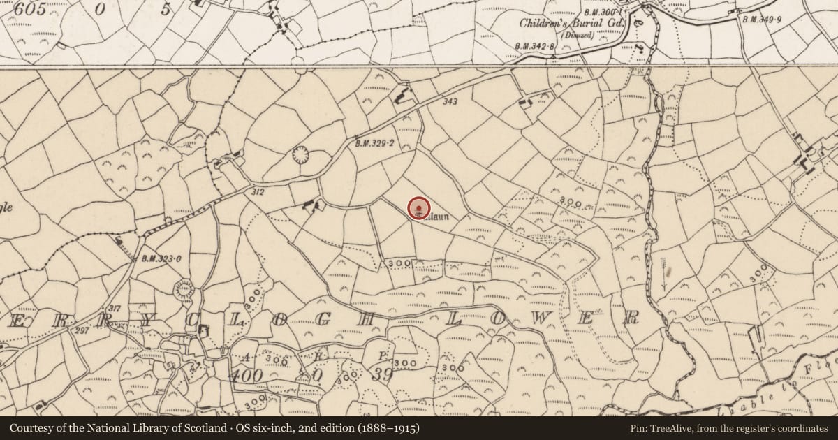 Ordnance Survey six-inch map, 2nd edition (1888–1915) covering the location of Boulder-burial, Derryclogh Lower, County Cork, with a pin at the register's coordinates